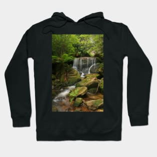 A little bit of paradise Hoodie